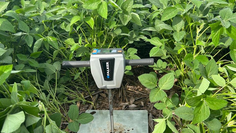 Penetrômetro Falker cravado no solo, em lavoura de soja sobre palhada de plantio direto